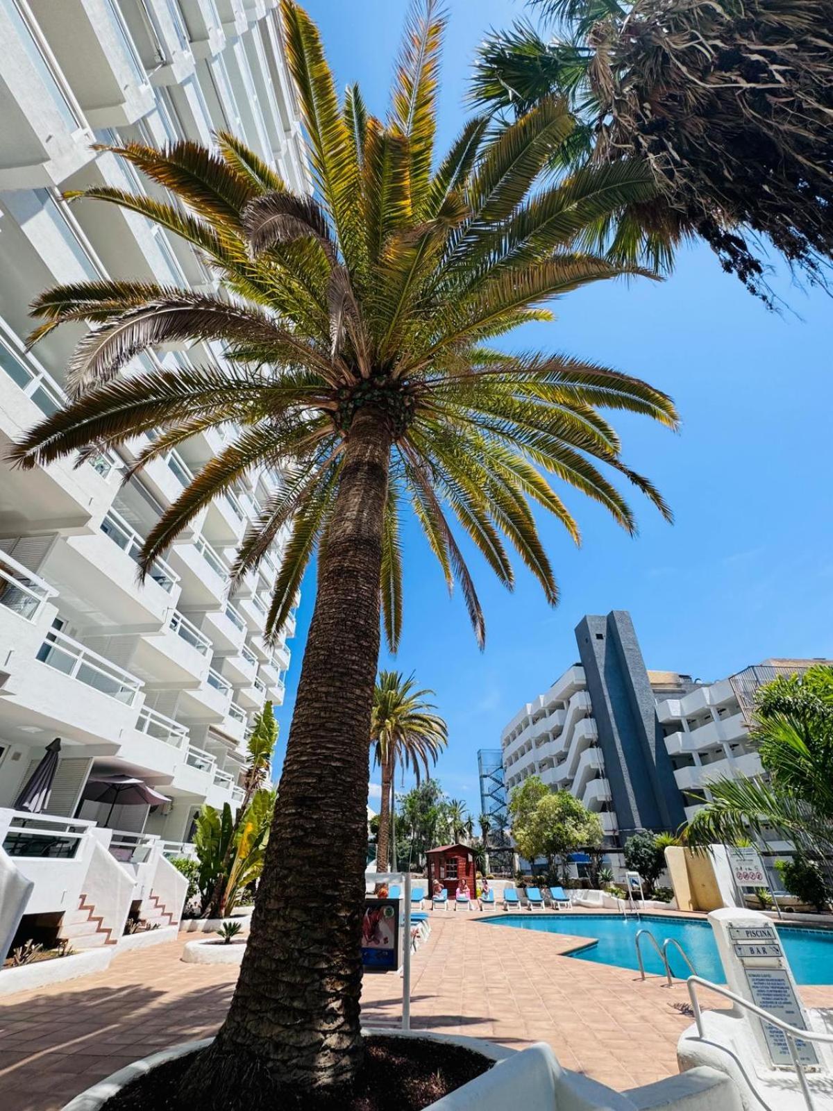 Jameo De Agua, Las Americas Studio Sea View Playa Fanabe Luaran gambar