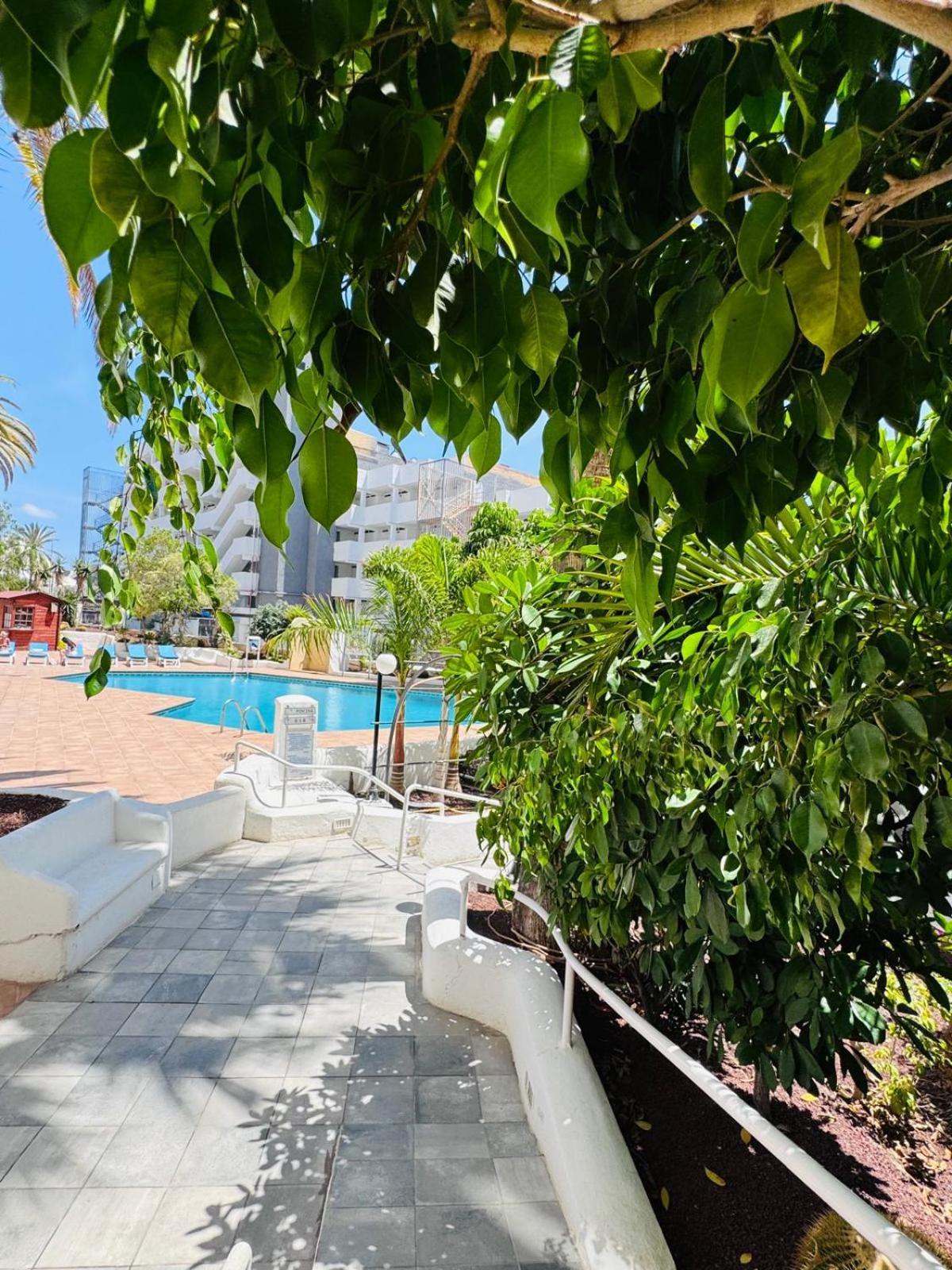 Jameo De Agua, Las Americas Studio Sea View Playa Fanabe Luaran gambar