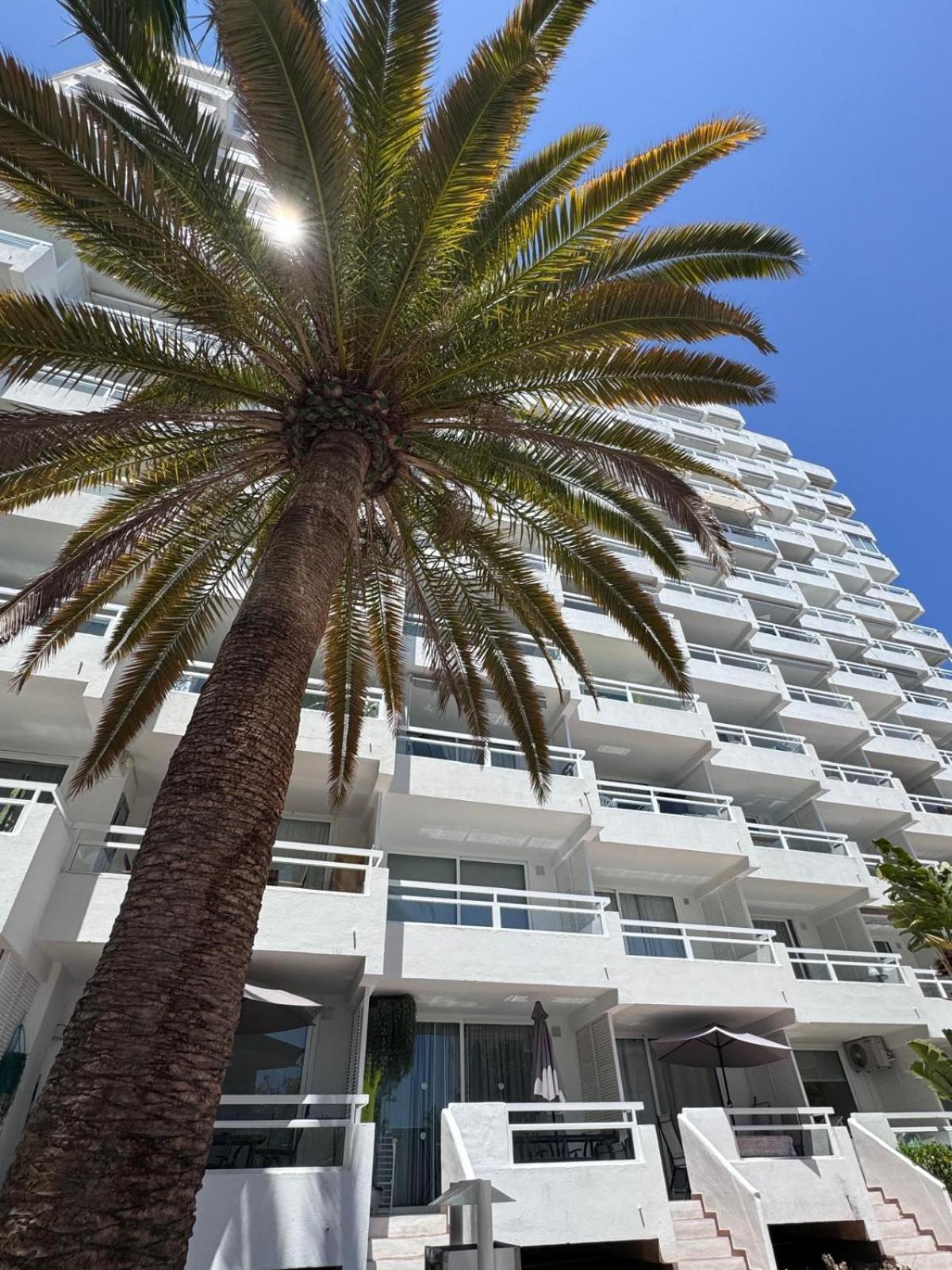 Jameo De Agua, Las Americas Studio Sea View Playa Fanabe Luaran gambar